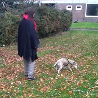 Patiënt over chiropractie: Jolanda